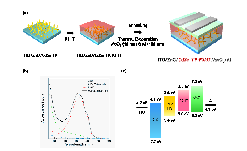 (a) P3HT:CdSe Tetrapod 하이브리드 태양전지의 제작공정, (b) 박막의 흡수 스펙트럼 및 (c) 에너지 밴드 다이어그램.