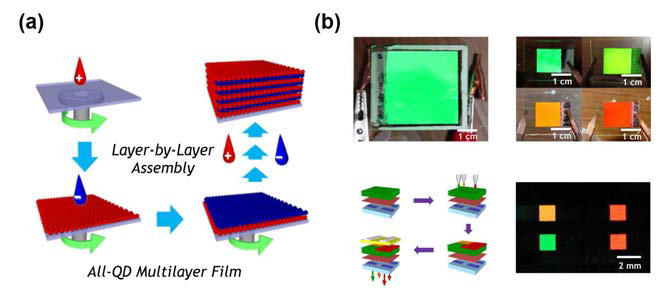 (a) 양자점 다층박막 공정의 모식도 및 (b) 다양한 색상의 대면적 양자점 다층박막 발광소자 및 패턴화된 소자의 사진