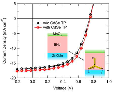 CdSe TP구조가 도입된 태양전지의 I-V곡선