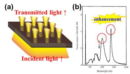 (a) 금속나노 투명전극의 구멍을 통과하는 빛의 모식도 (b) NIR영역의 빛의 투과도가 증가함을 보여주는 그래프