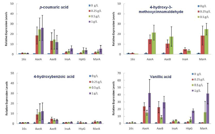 Hydrolysat compounds에 노출된 E. coli의 5개의 유전자 relative expression levels 분석