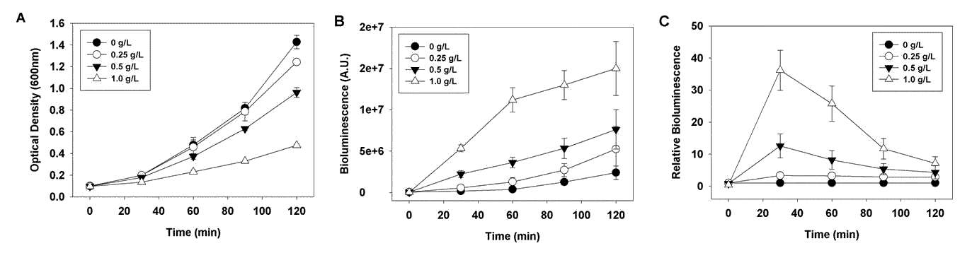 Ferulic acid의 발광 바이오센서 균주 (E. coli BL21(DE3)/pSP4)의 성장과 반응에 대한 영향