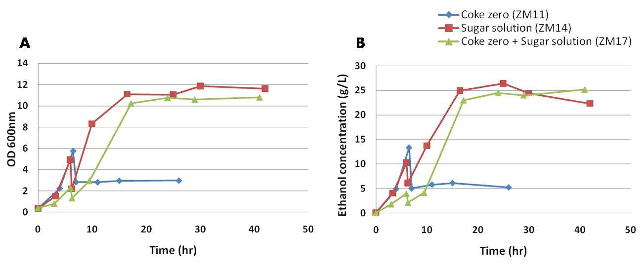 콜라 내의 당성분이 Z. mobilis의 성장(A)과 에탄올 생산(B)에 미치는 영향