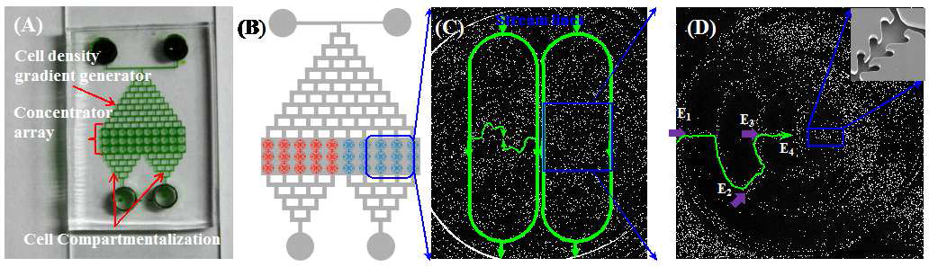 (A) 바이오부탄올 생산성 향상을 위한 배양조건 파라미터 최적화 연구를 위한 미세유체장치의 실제 사진 (B) 장치 개념도 (C) 장치의 SEM 이미지 (D) 균주 집적기