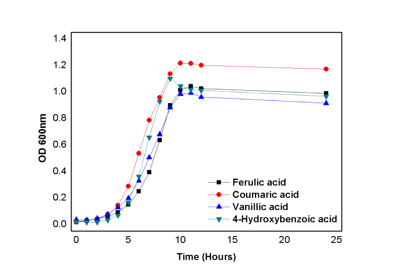 Acinetobacter baylyi의 리그닌 가수분해물을 탄소원으로 하는 minimal 배지에서의 growth curve