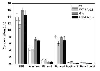 Wild type의 C. beijerinckii 와 재조합 균주의 Acid 및 solvent 생산량과 ferulic acid의 영향