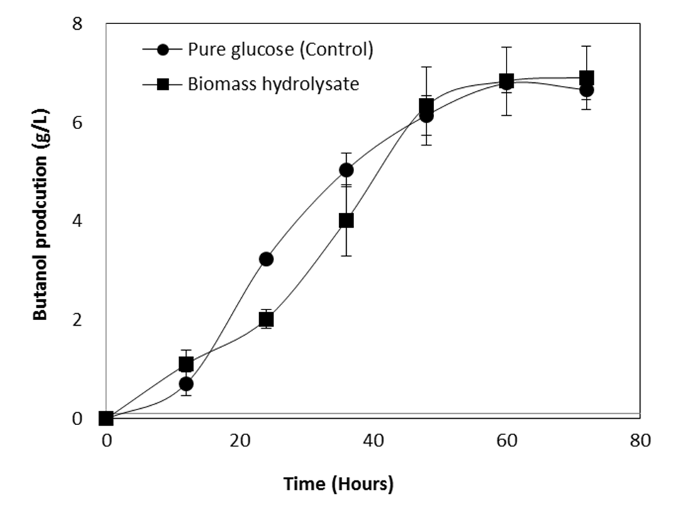 순수 glucose를 포함하는 배지와 전처리된 바이오매스를 이용한 발효의 부탄올 생성 비교