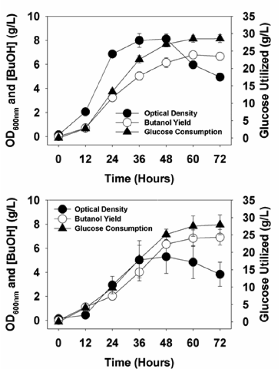 순수 glucose를 포함하는 배지(위) 에서와 전처리된 biomass를 이용한 발효 결과 비교