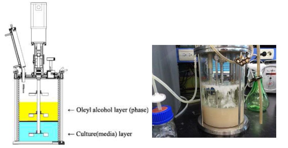 Oleyl alcohol이 도입 된 반응조의 개략도와 실제 모습