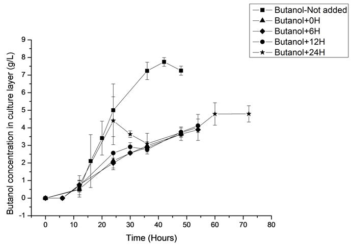 Oleyl alcohol에 의해 흡수된 부탄올을 제외한, culture layer 상에 남아 있는 부탄올의 농도.