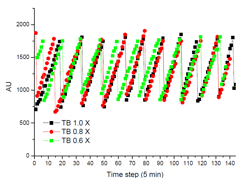 uL scale 배양기내의 미생물 배양액의 용도를 1X, 0.8X, 0.6X로 점차적으로 감소시켰음에도, 미생물의 생장속도가 변하지 않는 모습을 보여주는 그래프