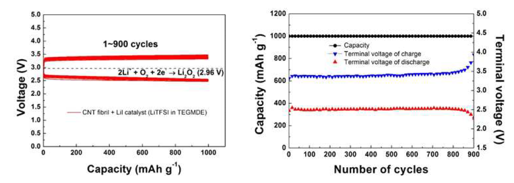 LiI + CNT fibril - 3C-rate (3000 mA/g, 0.05 mA/cm2) 전류밀도에서의 사이클 특성
