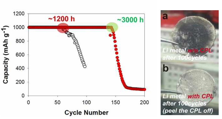 유무기 복합 보호막을 도입한 리튬 금속을 적용한 리튬/공기전지의 사이클 특성 (왼쪽) 및 사이클 구동 후 리튬 금속 표면의 사진 (오른쪽)