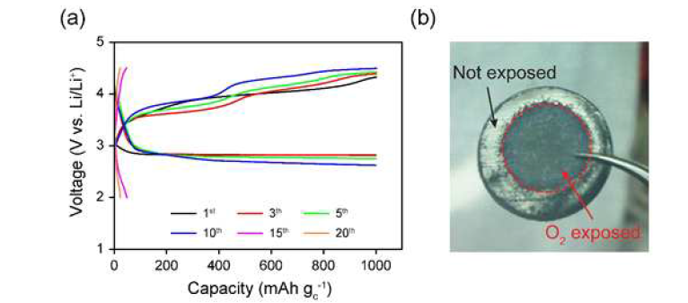 (a) 리튬/공기(산소) 전지의 구동에 따른 사이클 별 전압 곡선들 (b) 셀 평가 종료 후 분해한 셀에서 획득한 리튬 음극 표면 이미지 (Coin-type,용량제한: 1000 mAh/gcarbon, 전류밀도: 0.1 mA/cm2, 1.15M LiTFSI/DMSO 전해액)