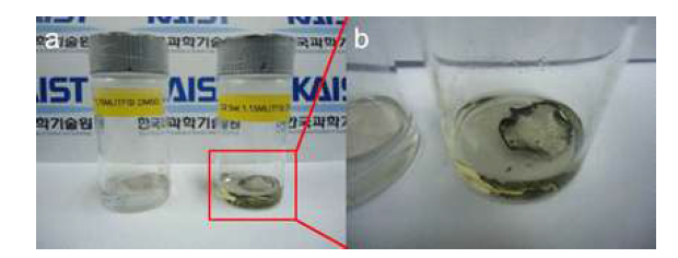 (a)산소를 용해시키지 않은 전해질(좌측)과 산소를 용해시킨 DMSO 전해질에 30일 동안 보관한 리튬 전극의 디지털 이미지, (b) 확대한 사진