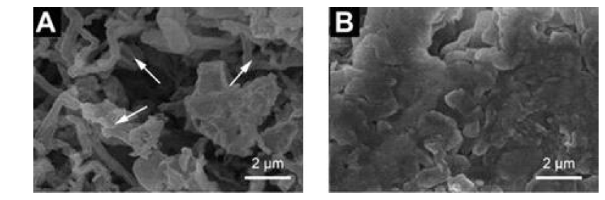 유무기 복합보호막 유무에 따른 리튬 전극의 초기 충방전 후 표면 SEM 사진