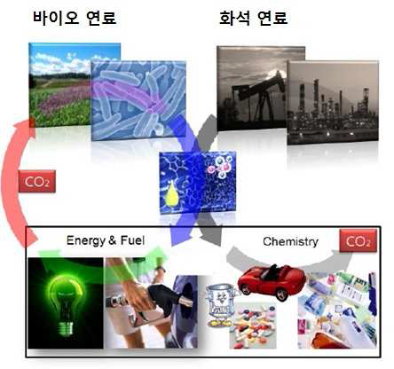 바이오 연료와 화석 연료의 개념비교