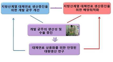 3단계 연구기간의 연구개발 추진체계