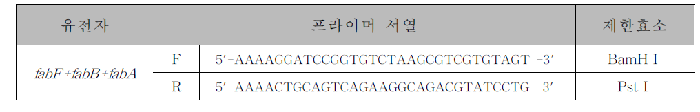 프라이머 디자인