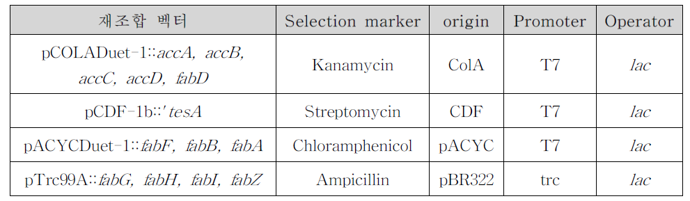 본 연구에 사용된 재조합 벡터시스템