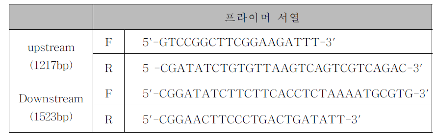 fadD fusion-pKOV 제작을 위한 프라이머