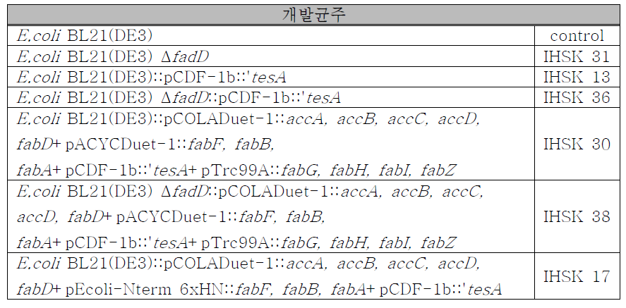 본 연구에 사용된 개발균주 목록