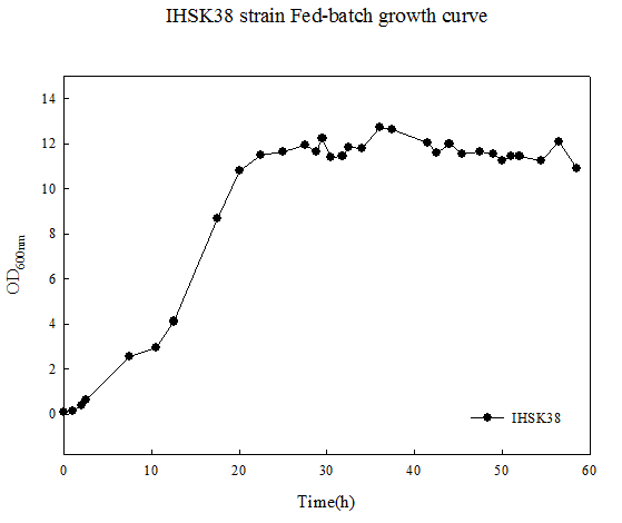 IHSK38 균주의 고농도 배양 생장그래프