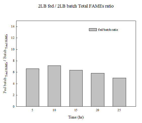 IHSK38 균주의 Fed-batch와 batch의 총 지방산양 비율