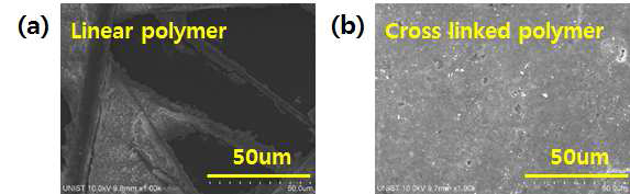 (a) 선형고분자 바인더를 사용한 신규 복합 분리막 및 (b) 신규 수계 가교 바인더를 사용한 신규 복합 분리막의 고온 전해액 보관 후 표면 SEM 사진
