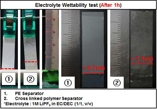 PE 분리막 및 신규 고안정성 복합 분리막의 전해액 젖음 높이 측정 테스트