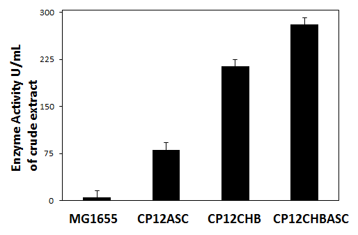 대장균의 chb와 asc 오페론을 활성화함으로써 셀로바이오스를 분해하 는 beta-glucosidase활성이 증가됨을 보여주고 있음.