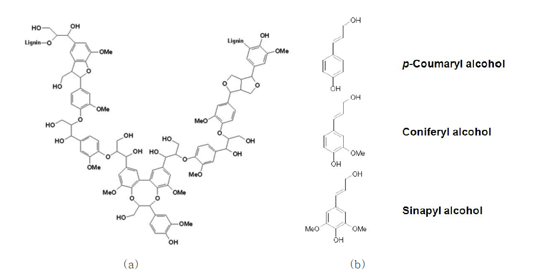 (a) 리그닌 폴리머의 일부 구조, (b) 세 가지 리그닌 단량체(monomer)