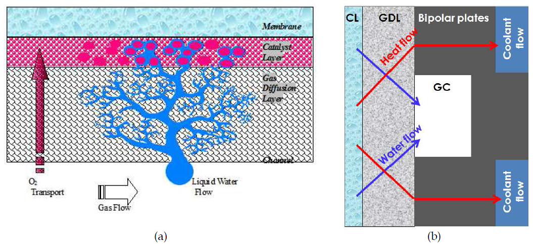 고분자전해질 연료전지 (a)내부 플러딩 개략도, (b)열 및 물 전달 메커니즘 개략도
