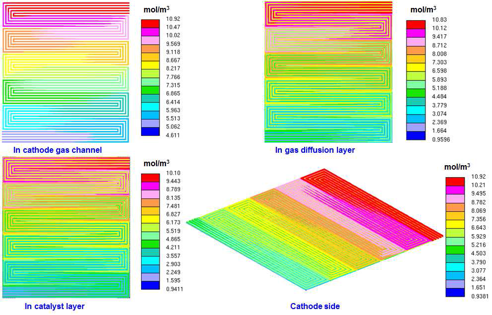 공기극 가스채널, GDL, 촉매층에서의 산소 농도분포