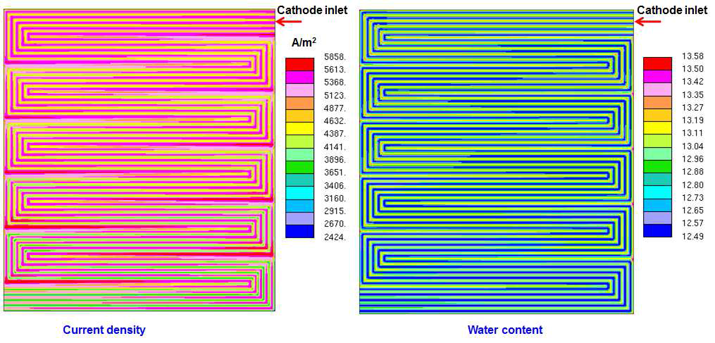 전해질 막에서의 전류밀도분포(좌) 및 물함량 분포 (우)