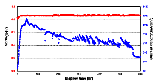 RH100% 탄화수소계 MEA 순환전압 내구성 평가 cell area(25cm2), cell temperature(65ºC), H2/Air fuel flow set : Anode/1.5eq, Cathode/2.0eq, ambient pressure