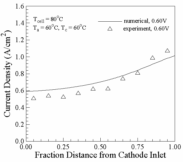 Model validation against the experimental data