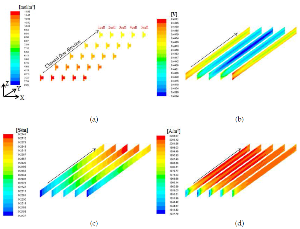 전기화학반응 해석결과 (a)산소 농도 분포도, (b)과전압 분포도, (c)양성자 전도도 분포도, (d) 전류밀도 분포도