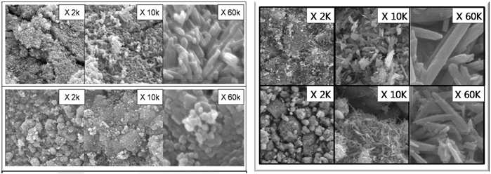 합성된 다양한 상의 망간산화물의 SEM image a)α-MnO2 b)γ -MnO2 c)β-MnO2 d)λ-MnO2