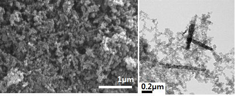 침전법과 함침법을 이용하여 합성한 Pt-Ru/Mn3O4/C 촉매의 SEM과 TEM image