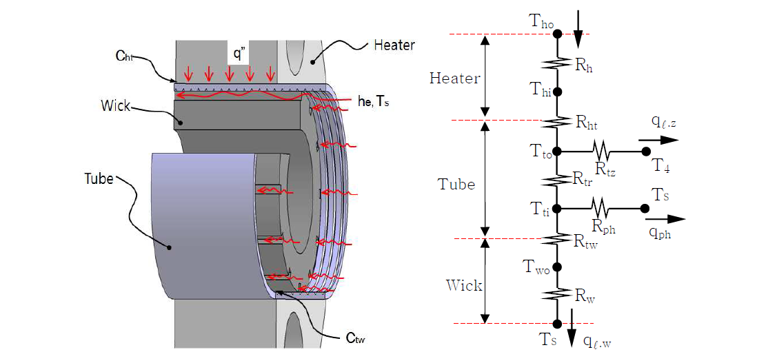 Thermal network for LHP evaporator