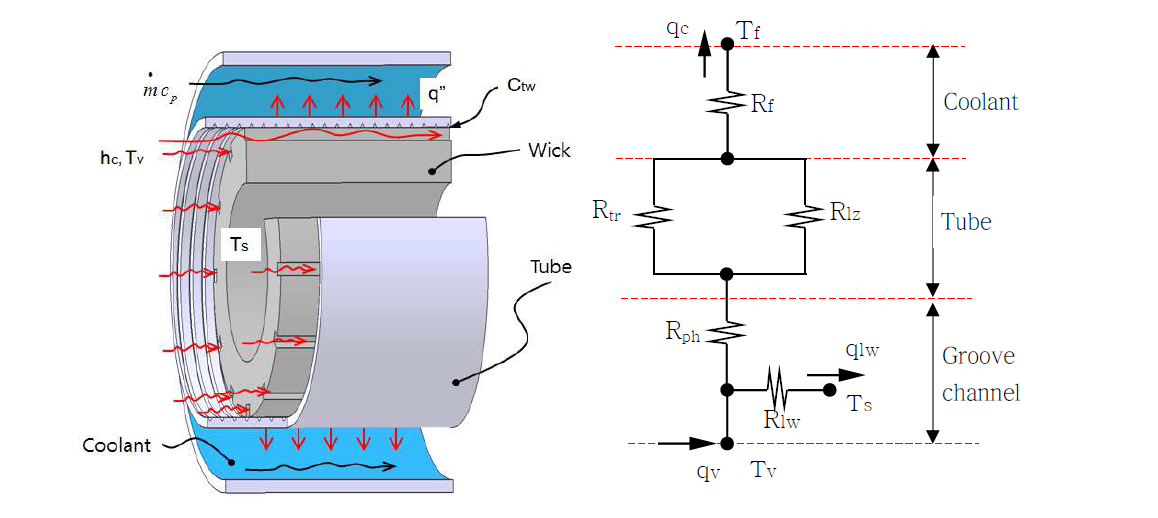 Thermal network for LHP condenser