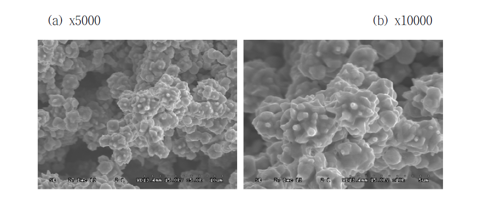 SEM image of ST3