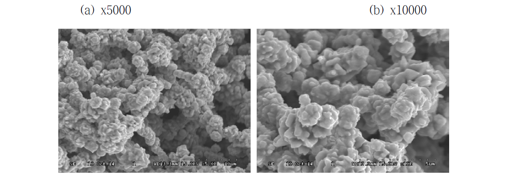 SEM image of Test 1-1