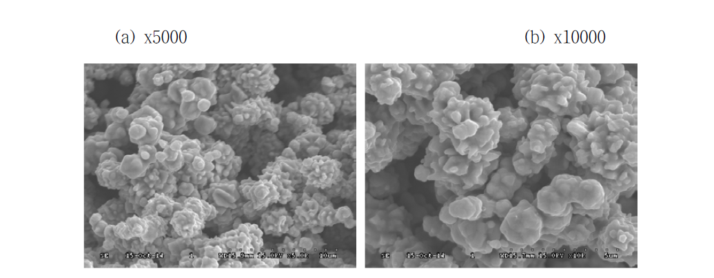 SEM image of Test 2-1