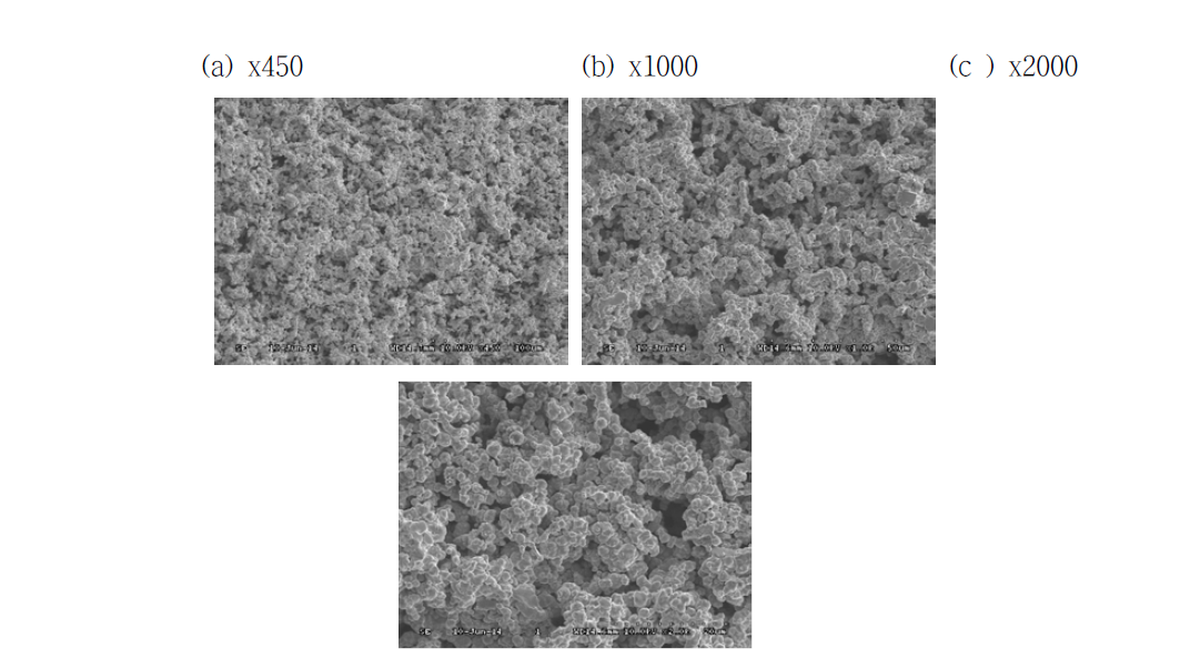 SEM image of peripheral surface