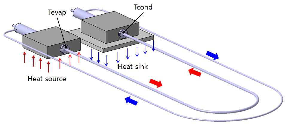 Schematics of LHP thermal network