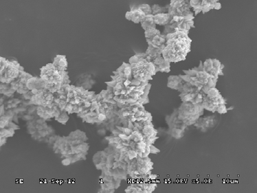 SEM image of T255 Ni powder