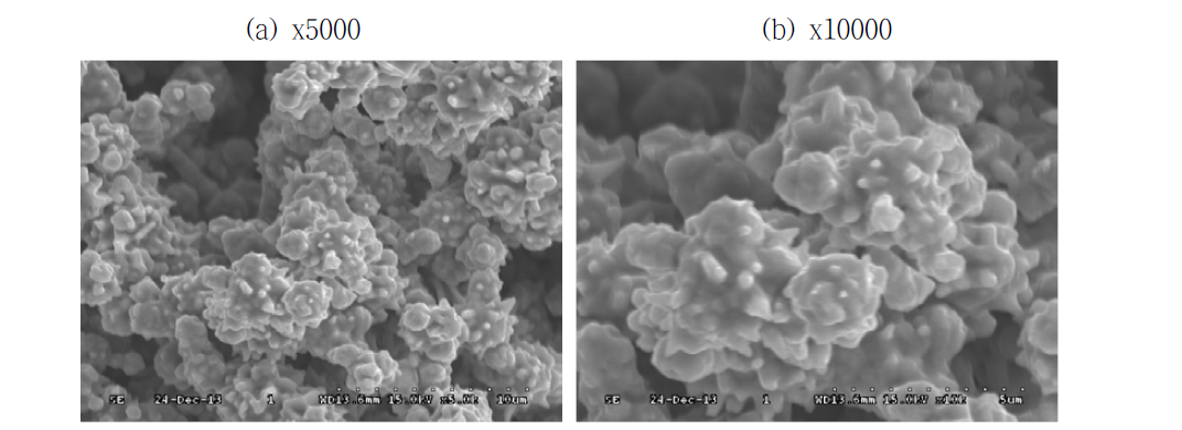 SEM image of SP4