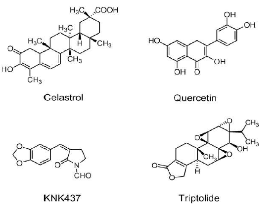 현재 임상시험중인 HSP modulators